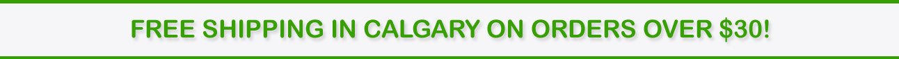 FREE SHIPPING! FREE SHIPPING!